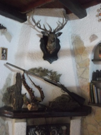 Ornamento camico con Cervo